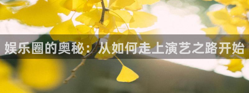 bb电子艺游平台：娱乐圈的奥秘：从如何走上演艺之路开始