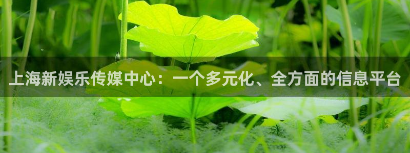 bb电子哪个平台好：上海新娱乐传媒中心：一个多元化、全方面的信息平台