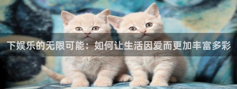 bb电子网站：下娱乐的无限可能：如何让生活因爱而更加丰富多彩